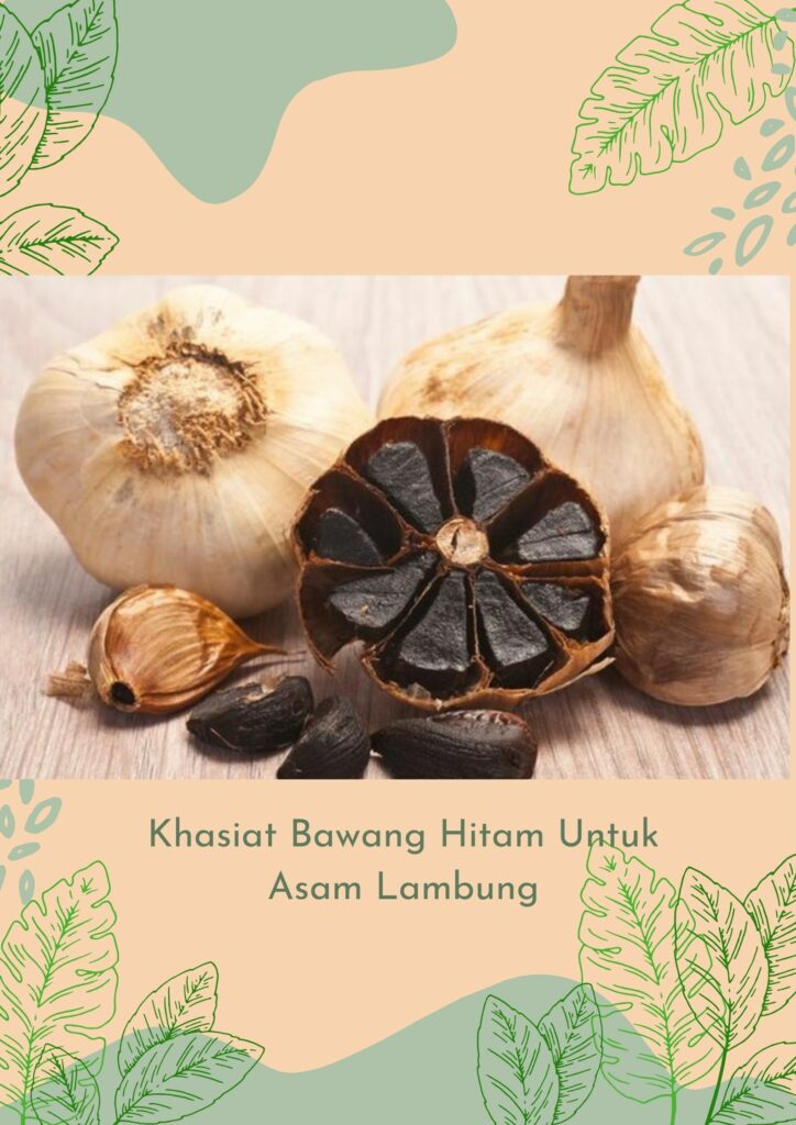 Khasiat Bawang-Hitam untuk Asam-Lambung