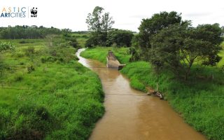 Eco Riparian: Konservasi Lingkungan dengan Pendekatan Alamiah di Kawasan Perairan