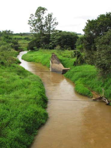Eco Riparian: Konservasi Lingkungan dengan Pendekatan Alamiah di Kawasan Perairan