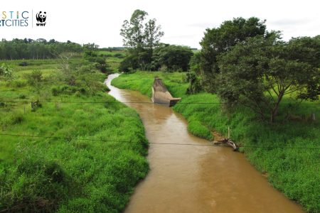 Eco Riparian: Konservasi Lingkungan dengan Pendekatan Alamiah di Kawasan Perairan