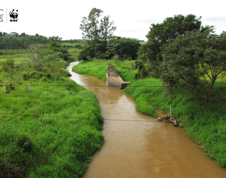 Eco Riparian: Konservasi Lingkungan dengan Pendekatan Alamiah di Kawasan Perairan