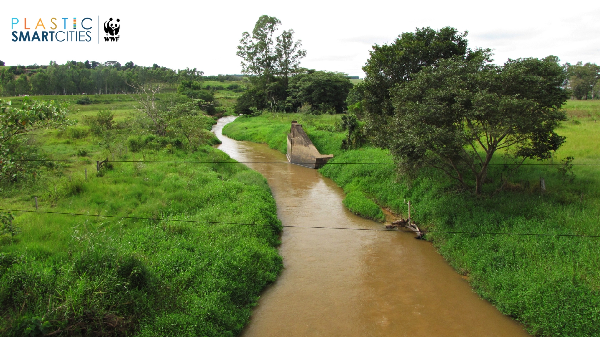 Eco Riparian: Konservasi Lingkungan dengan Pendekatan Alamiah di Kawasan Perairan