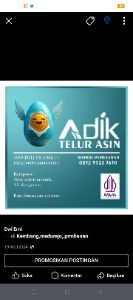 logo Telur asin Adik