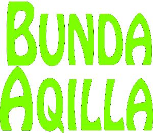 logo Aqilla Collection